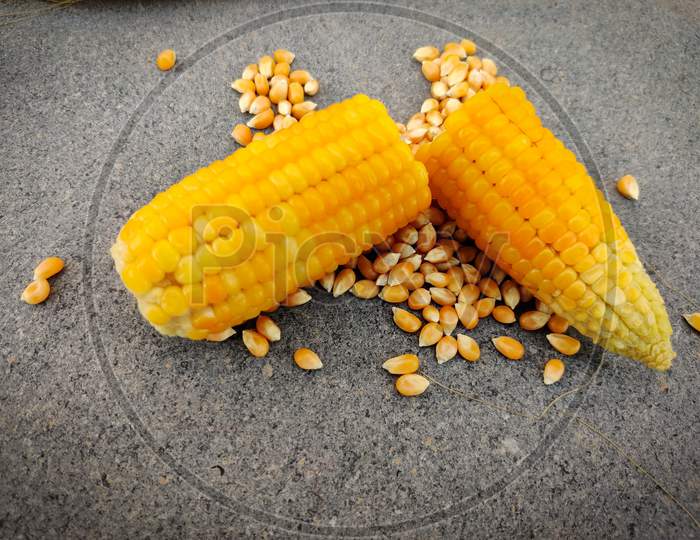 Home Made Sweet Corn Broken In Half With Scattered Unpopped Popcorn Grains. Isolated On Grey Background.