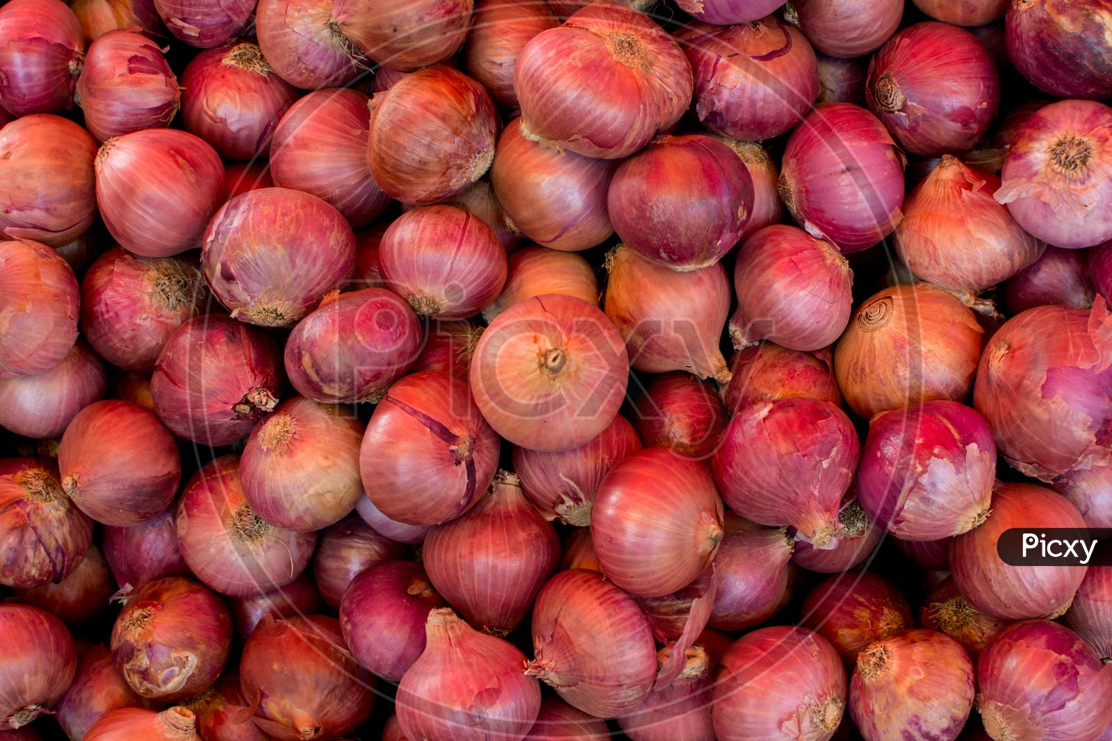 Onion heap in a market for sale