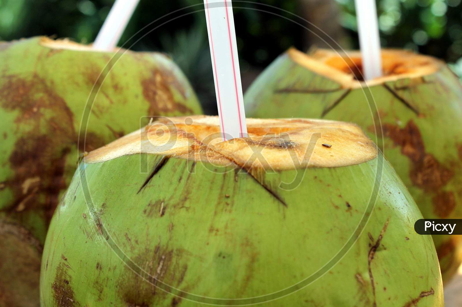 Straw kept inside the tender coconut to suck it's juice