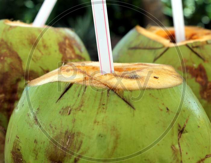 Straw kept inside the tender coconut to suck it's juice