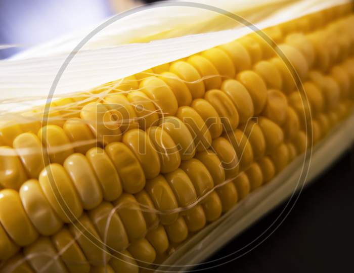 Closeup Shot Of Raw Maize Corns & Leaves