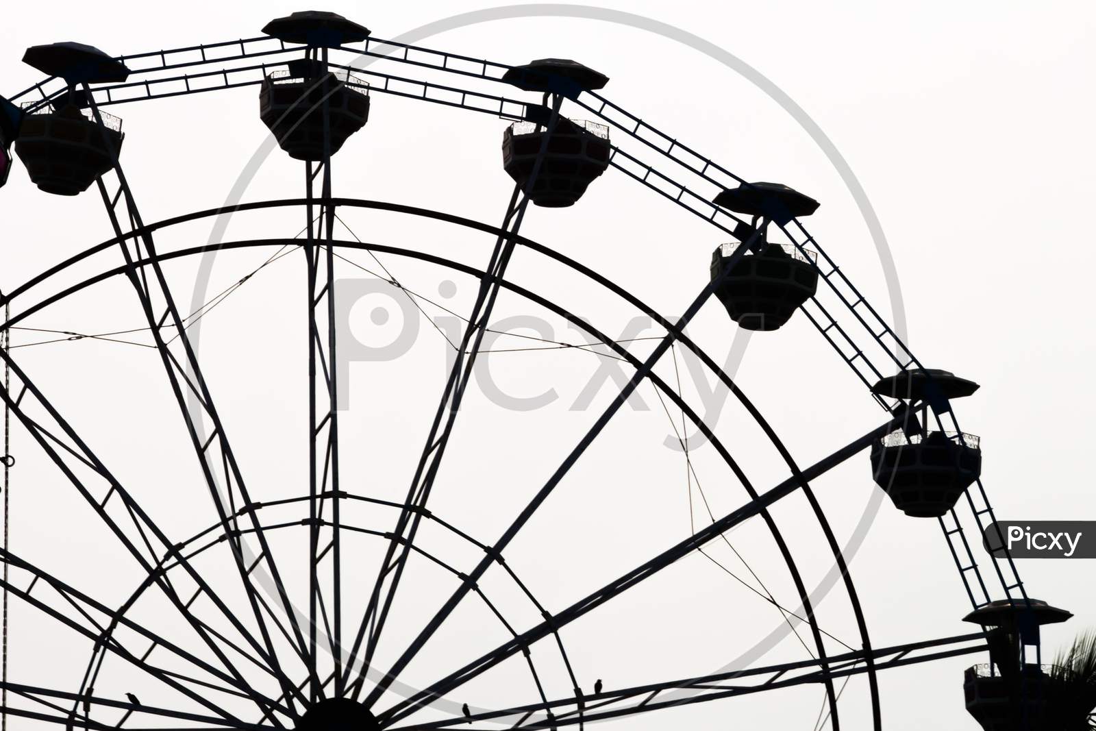 Ferris wheel black and white