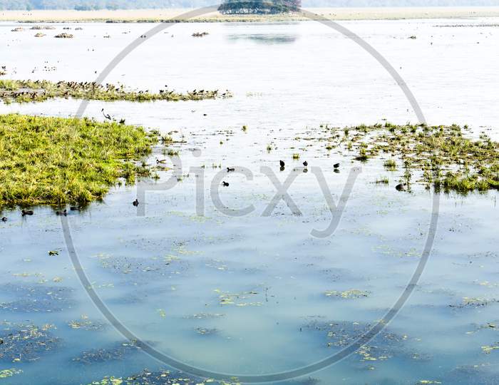 View of a Lake in Sivasagar
