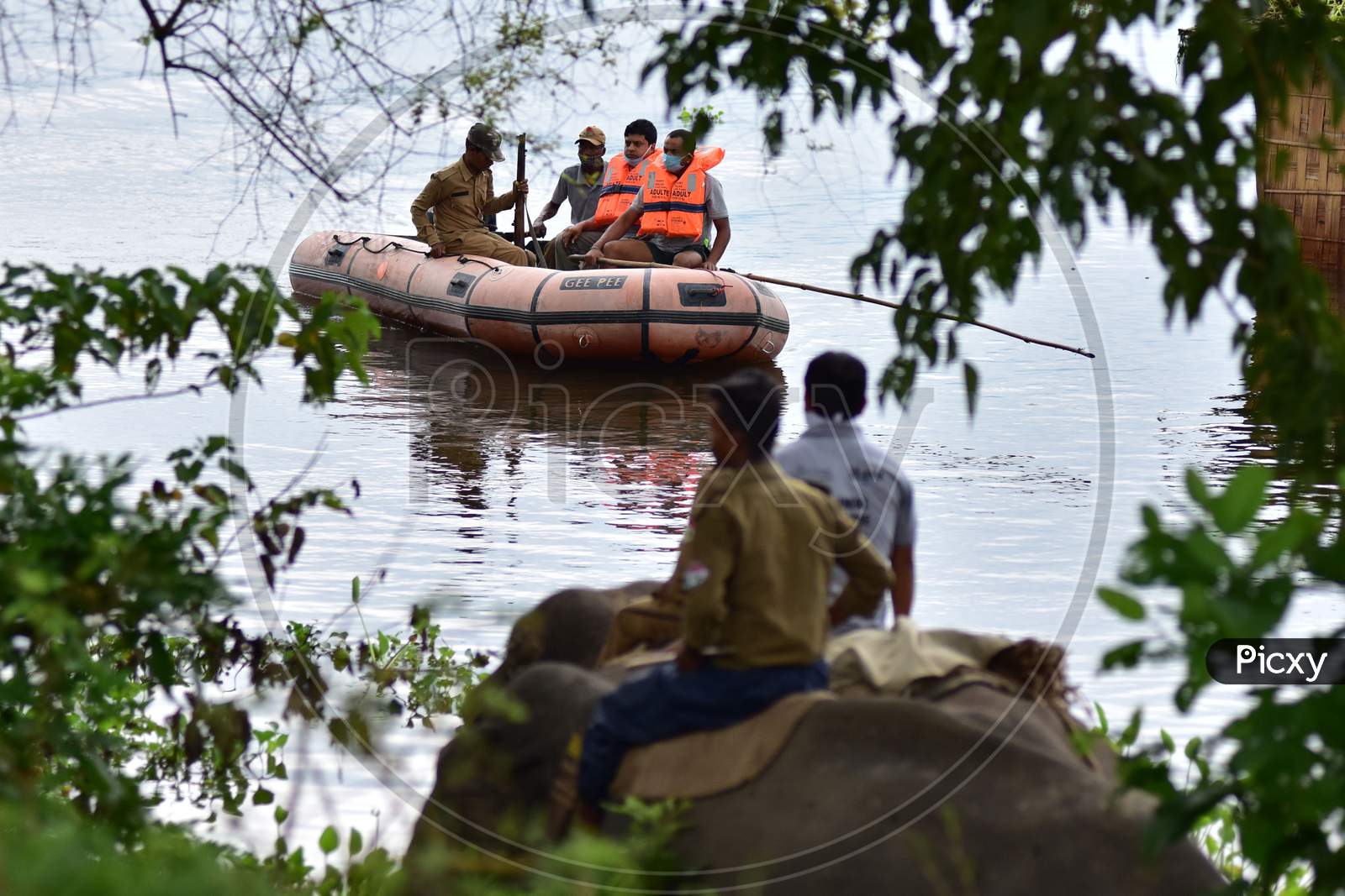 Forest officials try to chase a rhino which got strayed off after the Kaziranga National Park got flooded in Nagaon, Assam on July 18, 2020