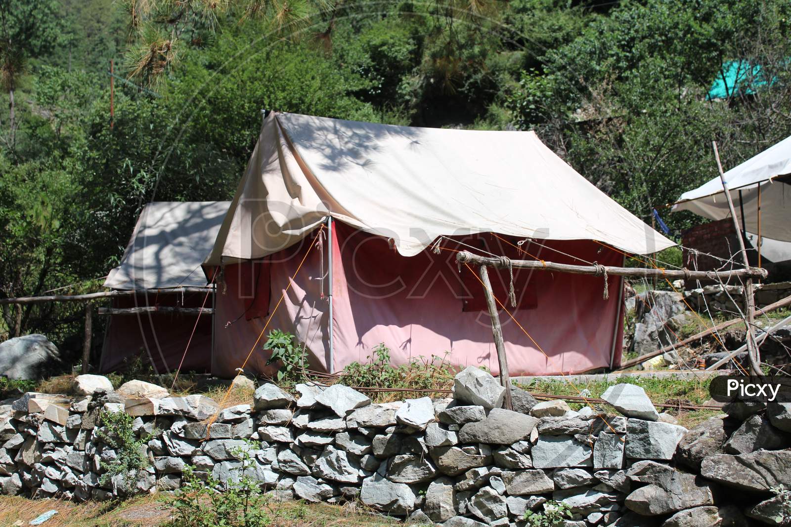 Camping in the beautiful forest in parvati valley, Himachal Pradesh