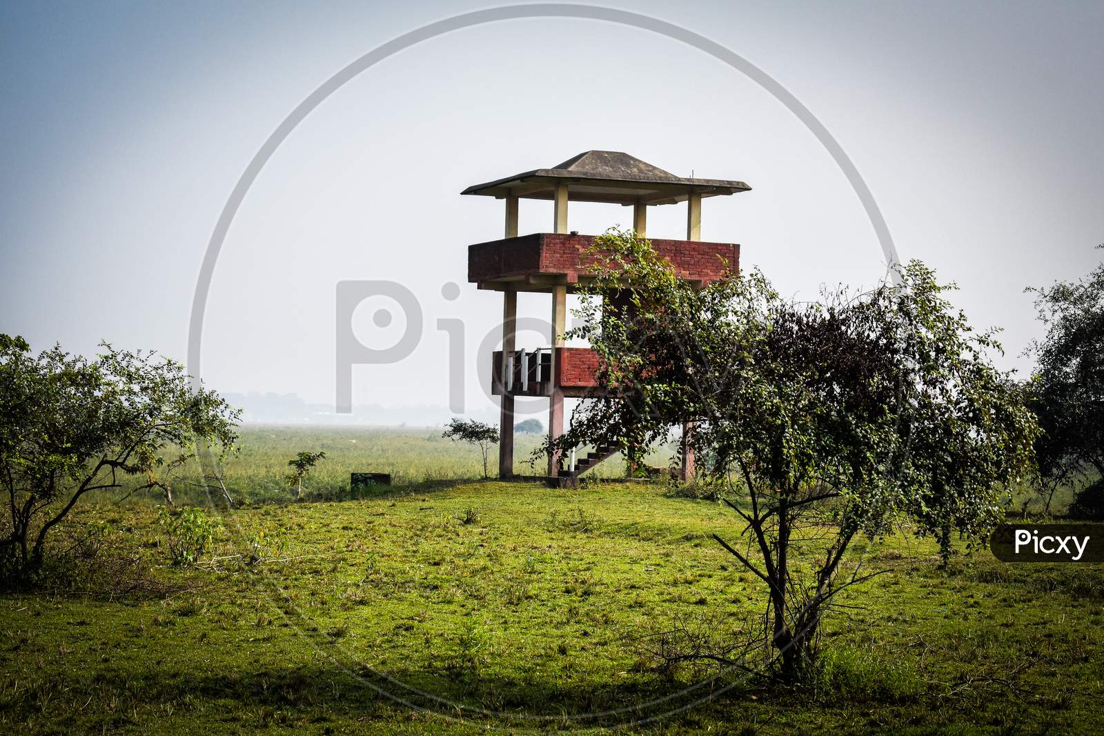 Animal watch tower of Manas National Park