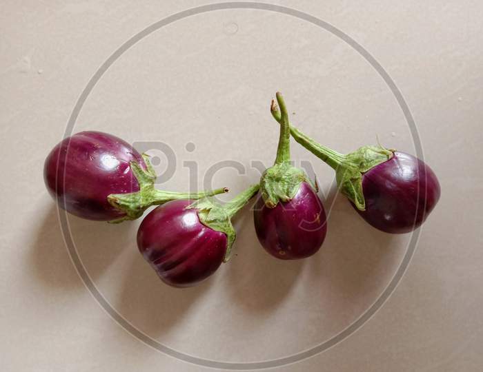 Purple Colored Healthy Indian Vegetable  Brinjal Or Eggplant