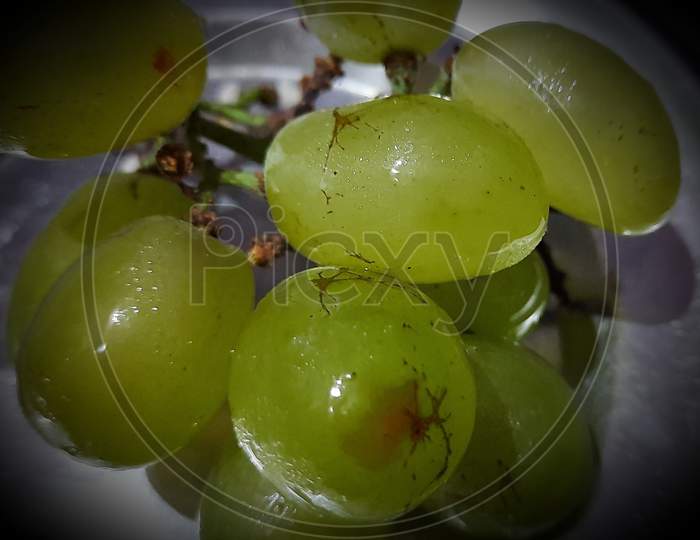 Fresh organic green grapes