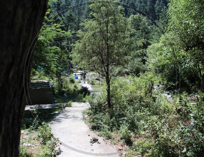 scenic view of Tosh Malana weather and parvati valley in Himachal Pardesh.