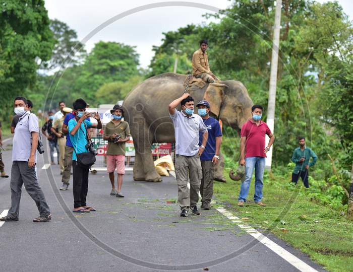 Forest officials stand guard on the National Highway 37 after a rhino stranded off from the flood-affected areas of the Kaziranga National Park in Nagaon, Assam on July 18, 2020