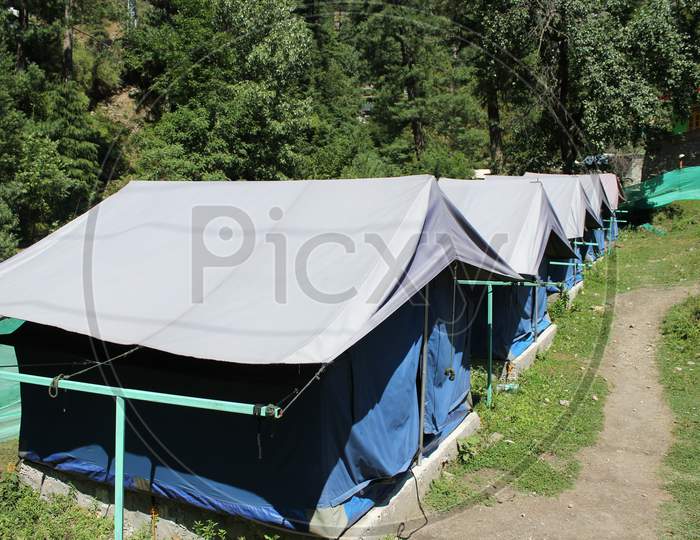 Camping in the beautiful forest in parvati valley, Himachal Pradesh