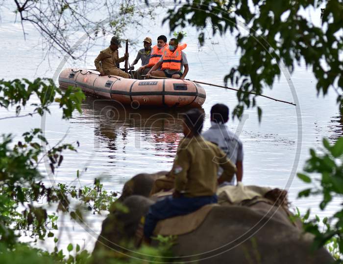 Forest officials try to chase a rhino which got strayed off after the Kaziranga National Park got flooded in Nagaon, Assam on July 18, 2020