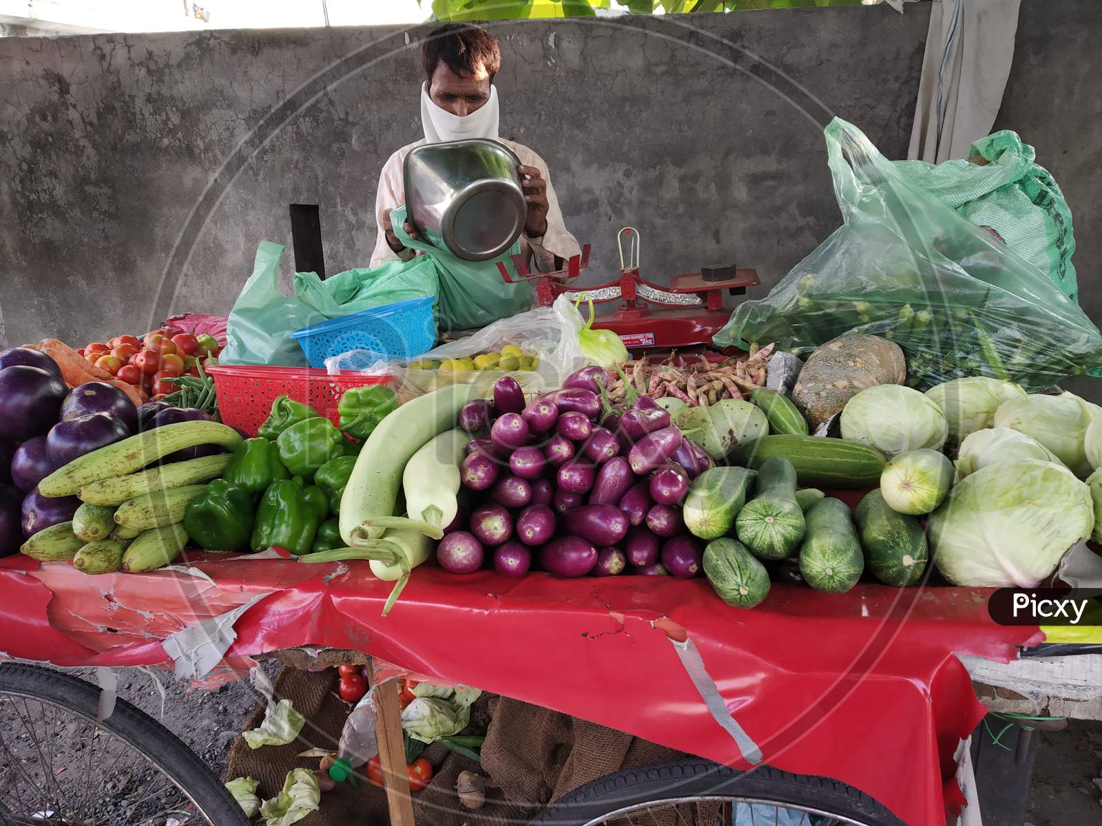 vegetable vendor selling vegetables on his vegetable cart