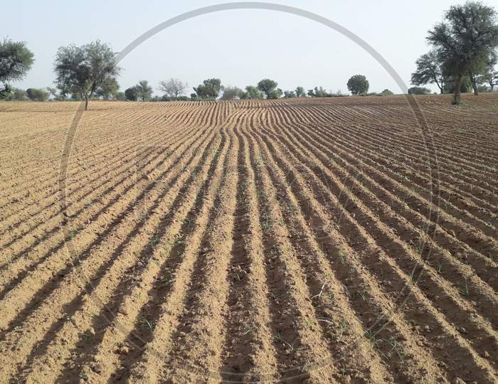 Cultivated Or Plowed Field Dry Land Background With No Plant Germinated