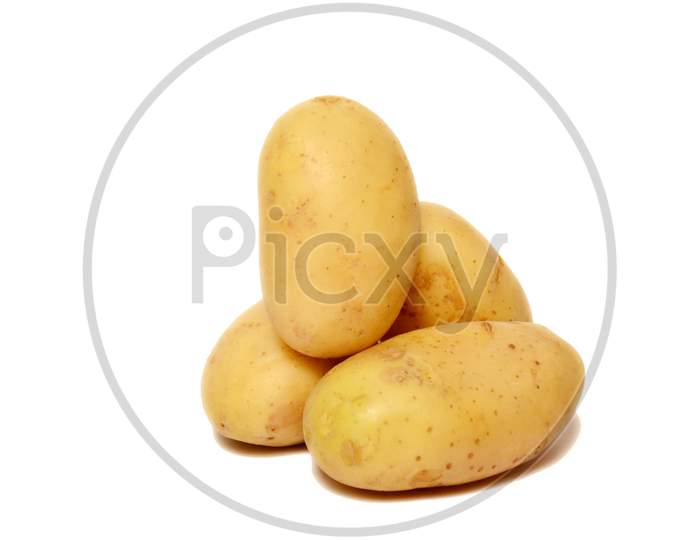 bunch the potato isolated on white background.