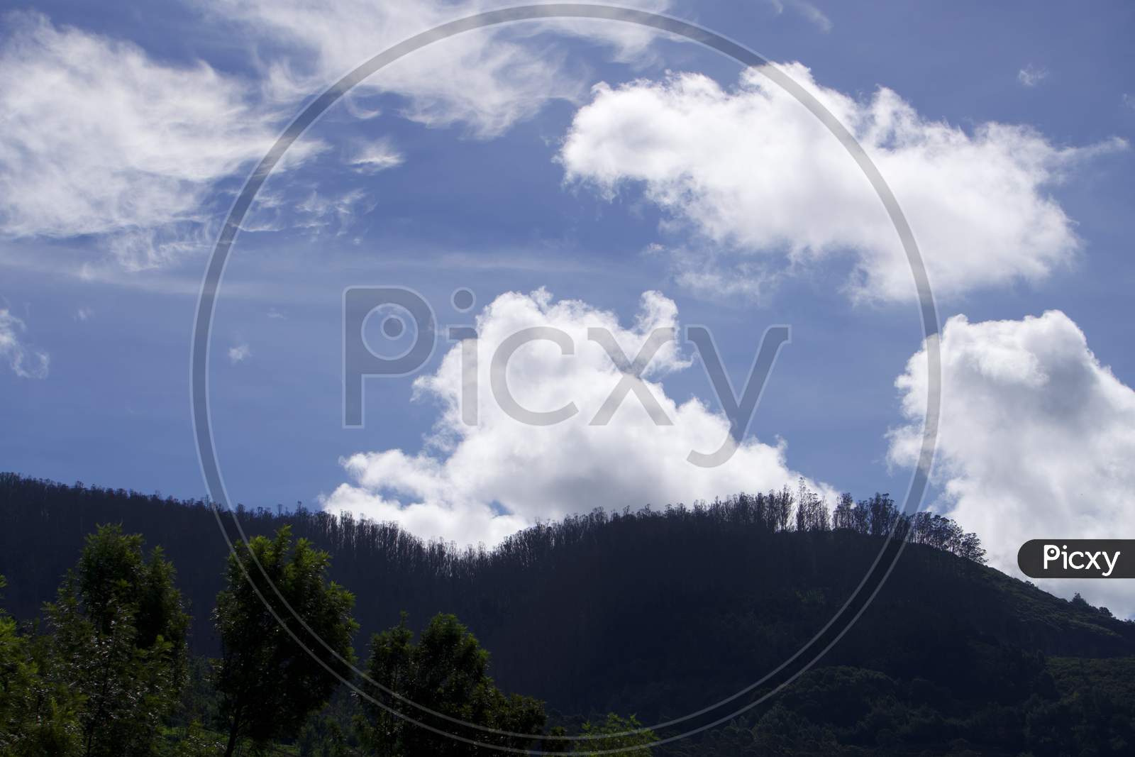 Mountain with green trees and blue sky