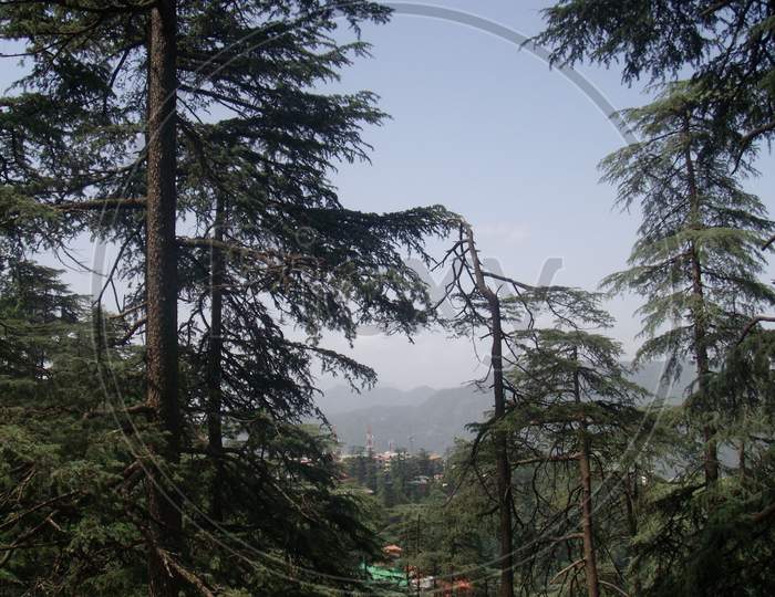 view of the hills in Shimla