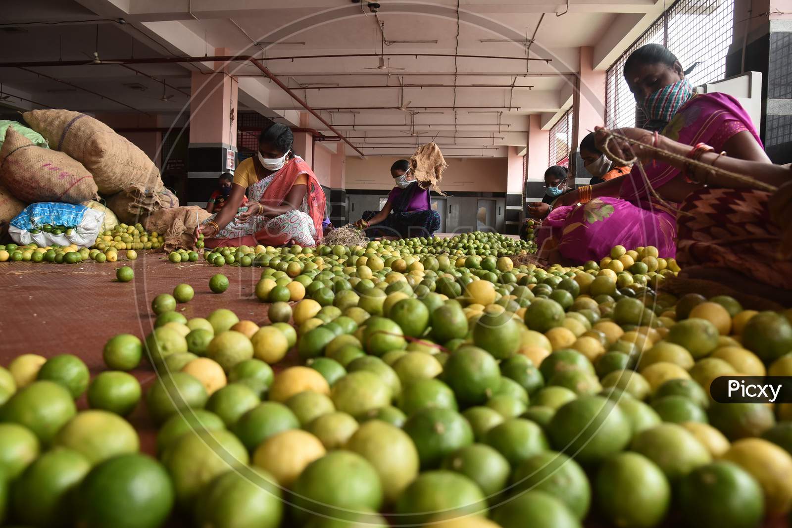 Workers prepare vegetable garlands ahead of the Shakhambari Devi festival at the Kanaka Durga temple in Vijayawada.