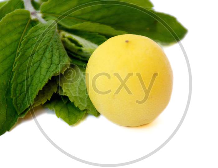the yellow lamon with green mint isolated on white background.