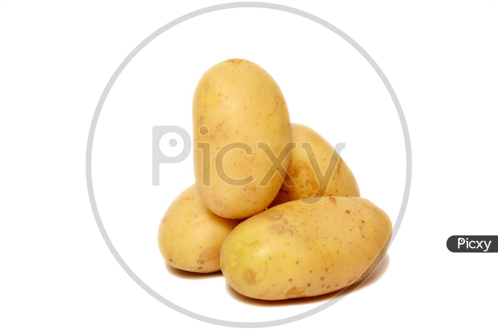 bunch the potato isolated on white background.