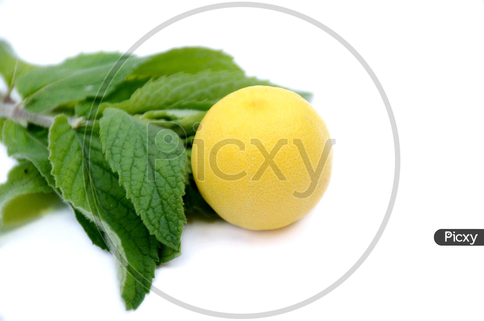 the yellow lamon with green mint isolated on white background.