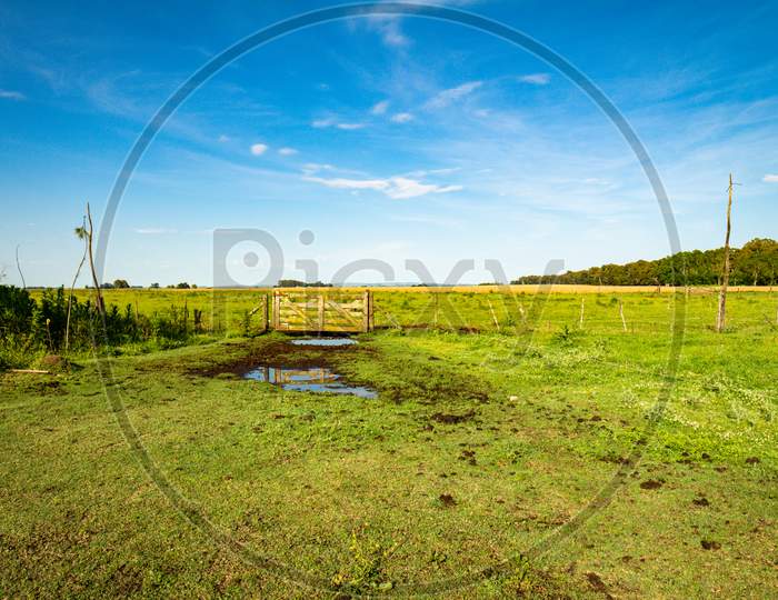 Entrance Gate To A Field. Calm Landscape Outside The City. Sunny Day On A Farm.