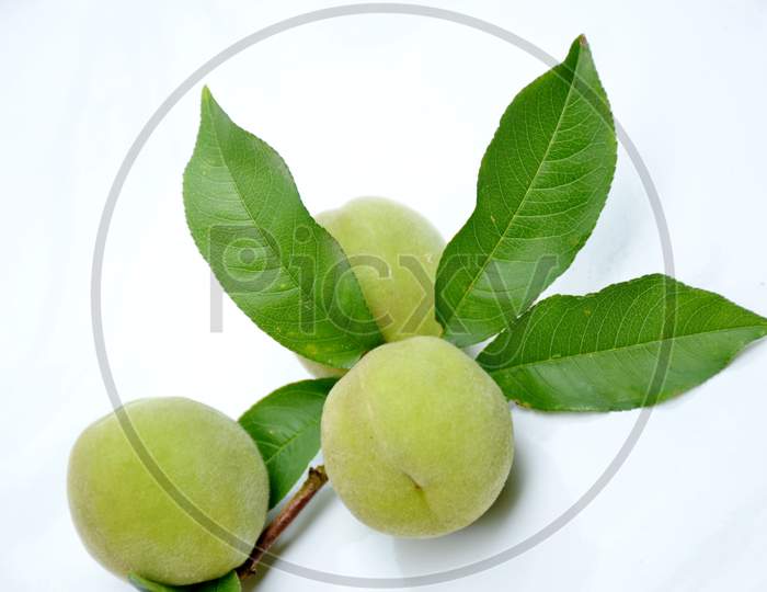 the ripe green peach with leaves isolated on white background.