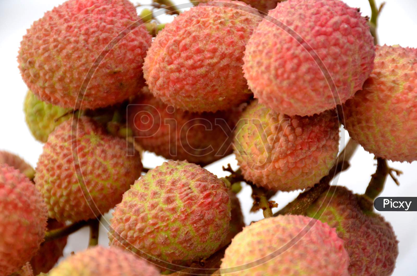 bunch of the red ripe lychee isolated on white background.