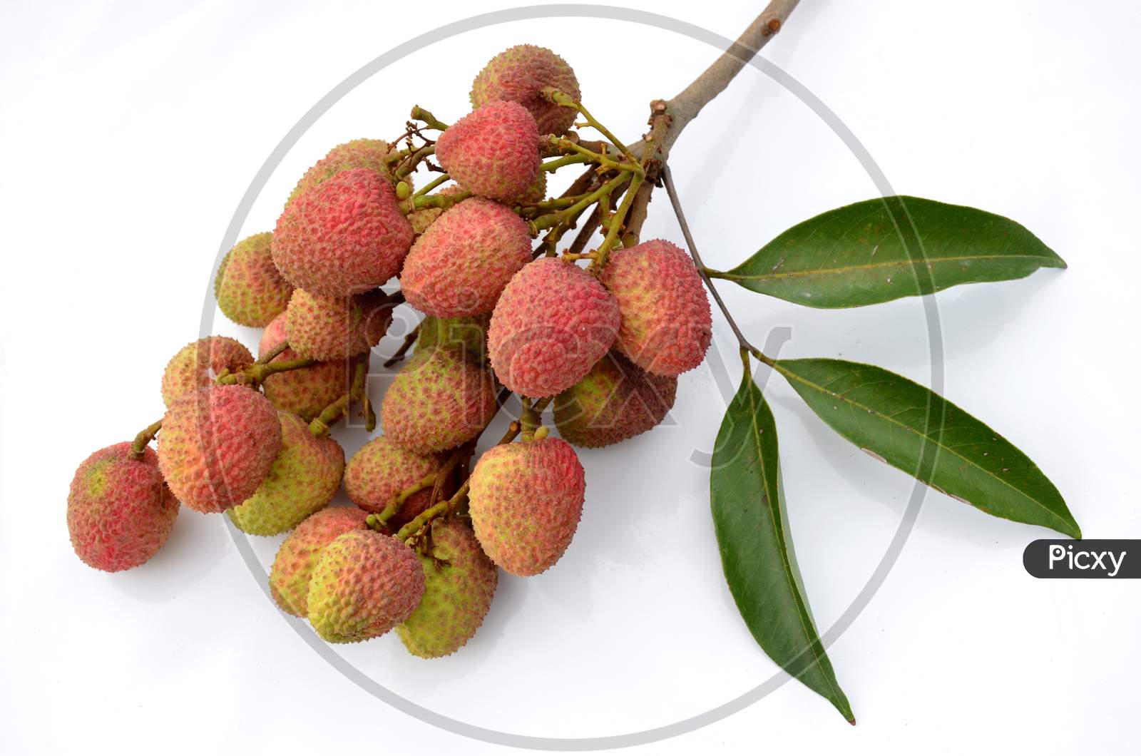 bunch of the red ripe lychee with leaves isolated on white background.