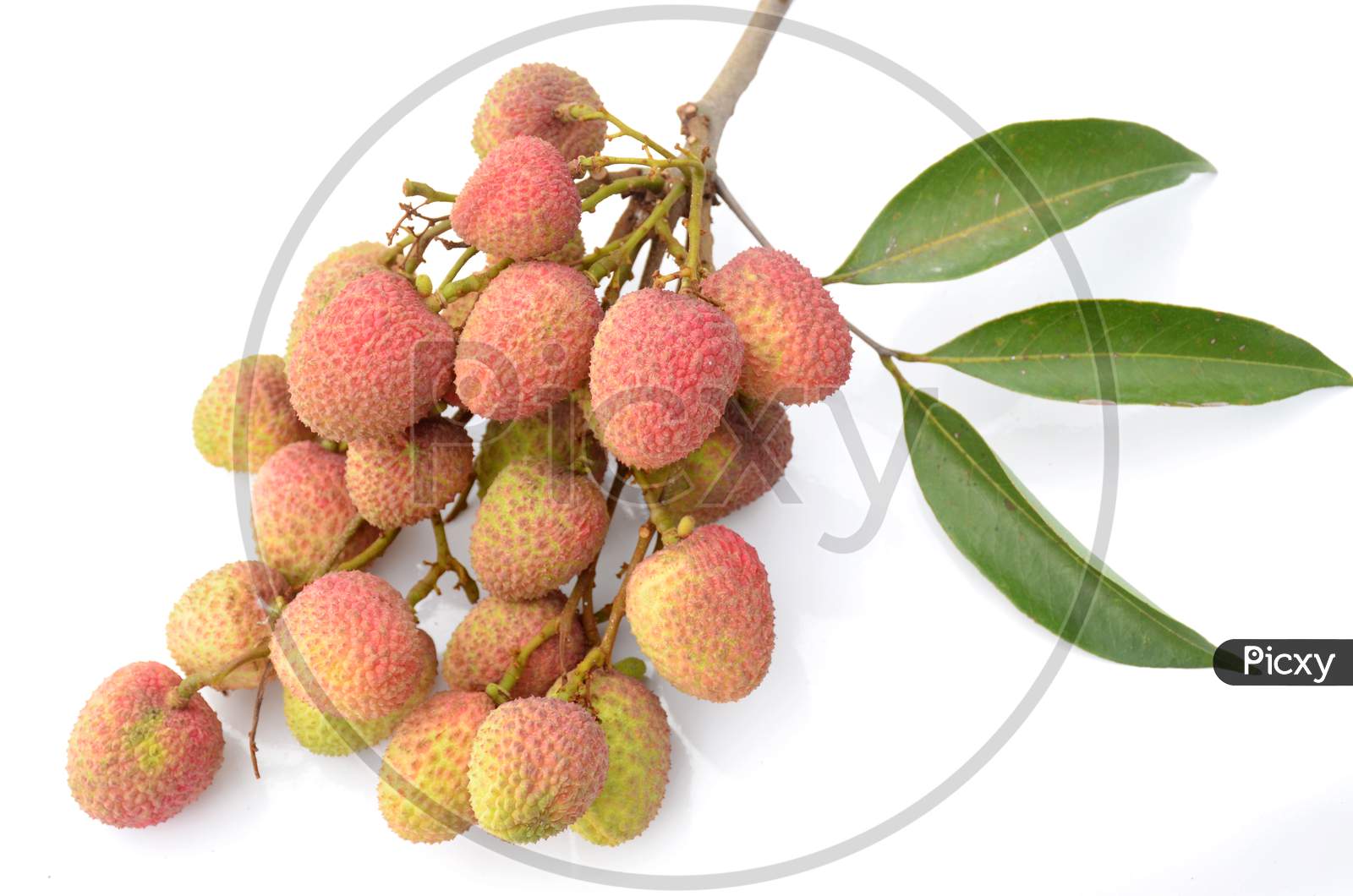 bunch the red ripe lychee with green leaves isolated on white background.