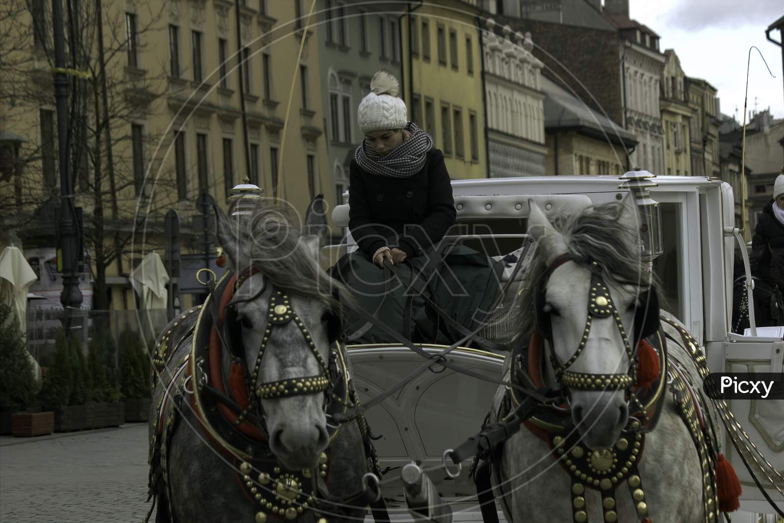 Krakow, Poland - December 23, 2014: A Lady Drive A Horse Cart Carriage On A Winter During Christmas Eve In Main Square City Center In Order To Attract Tourist