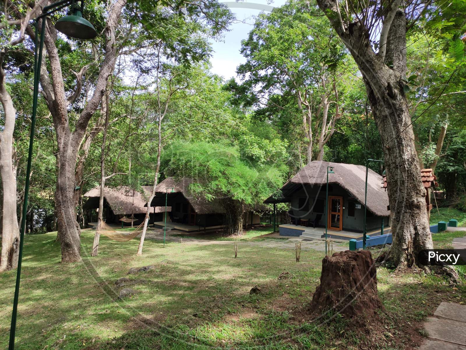 A bit stay in Kabini River Lodge-Junglelodges
