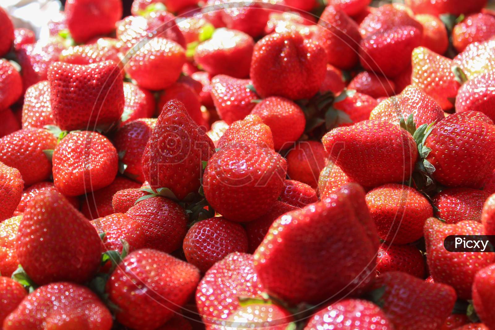 Organic fresh looking strawberries