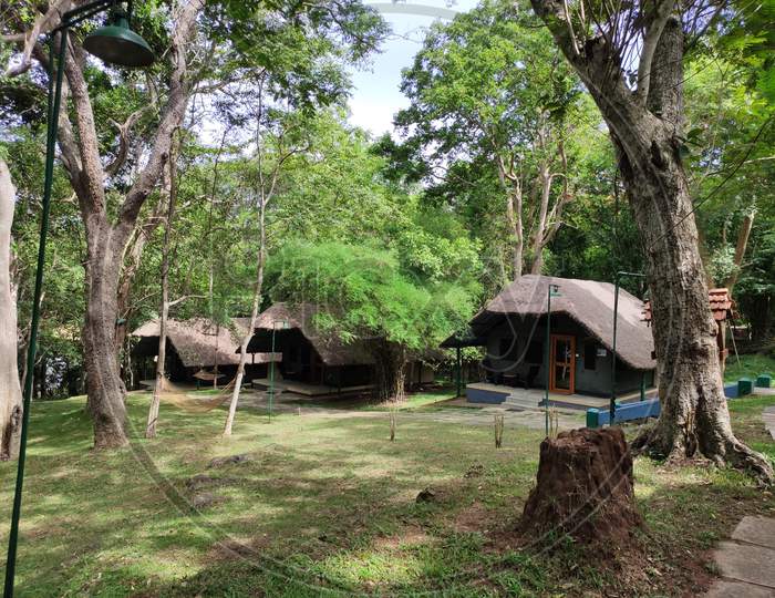 A bit stay in Kabini River Lodge-Junglelodges