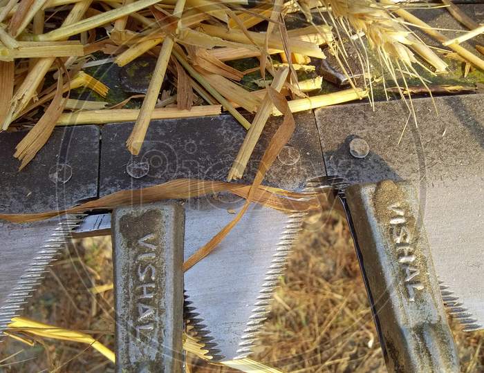 close up view Harvester Machine Saws.