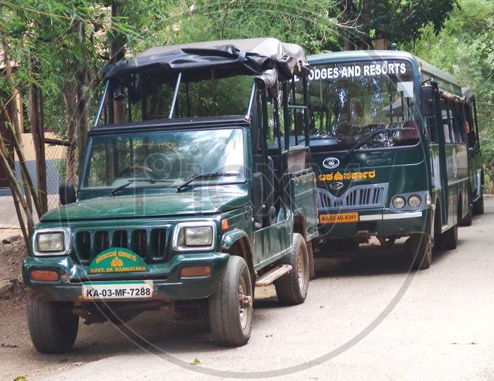 A jeep and bus safari from Kabini River Lodge-Junglelodges