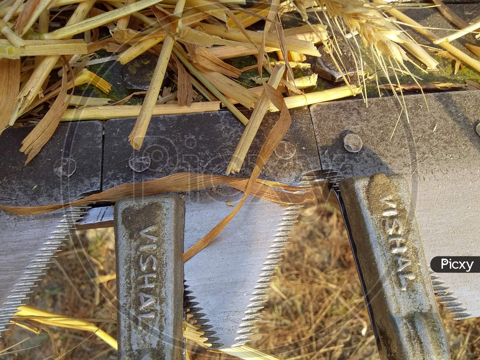 close up view Harvester Machine Saws.
