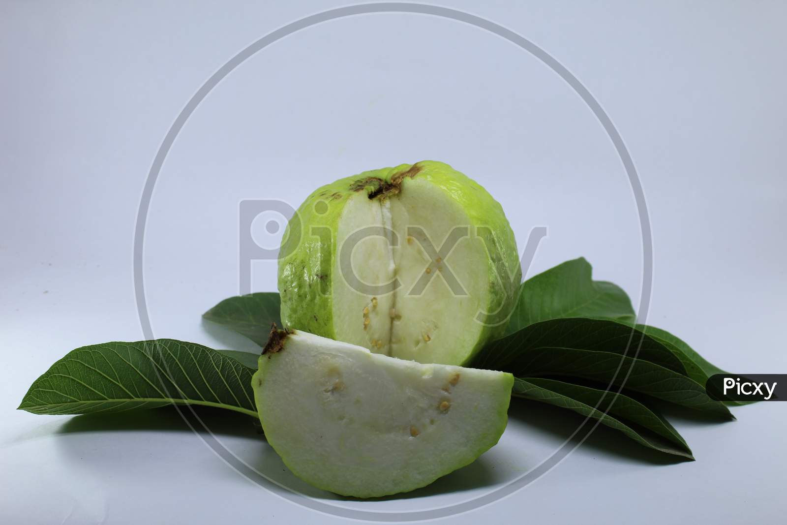 Guava with leaves