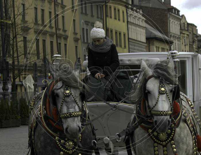 Krakow, Poland - December 23, 2014: A Lady Drive A Horse Cart Carriage On A Winter During Christmas Eve In Main Square City Center In Order To Attract Tourist