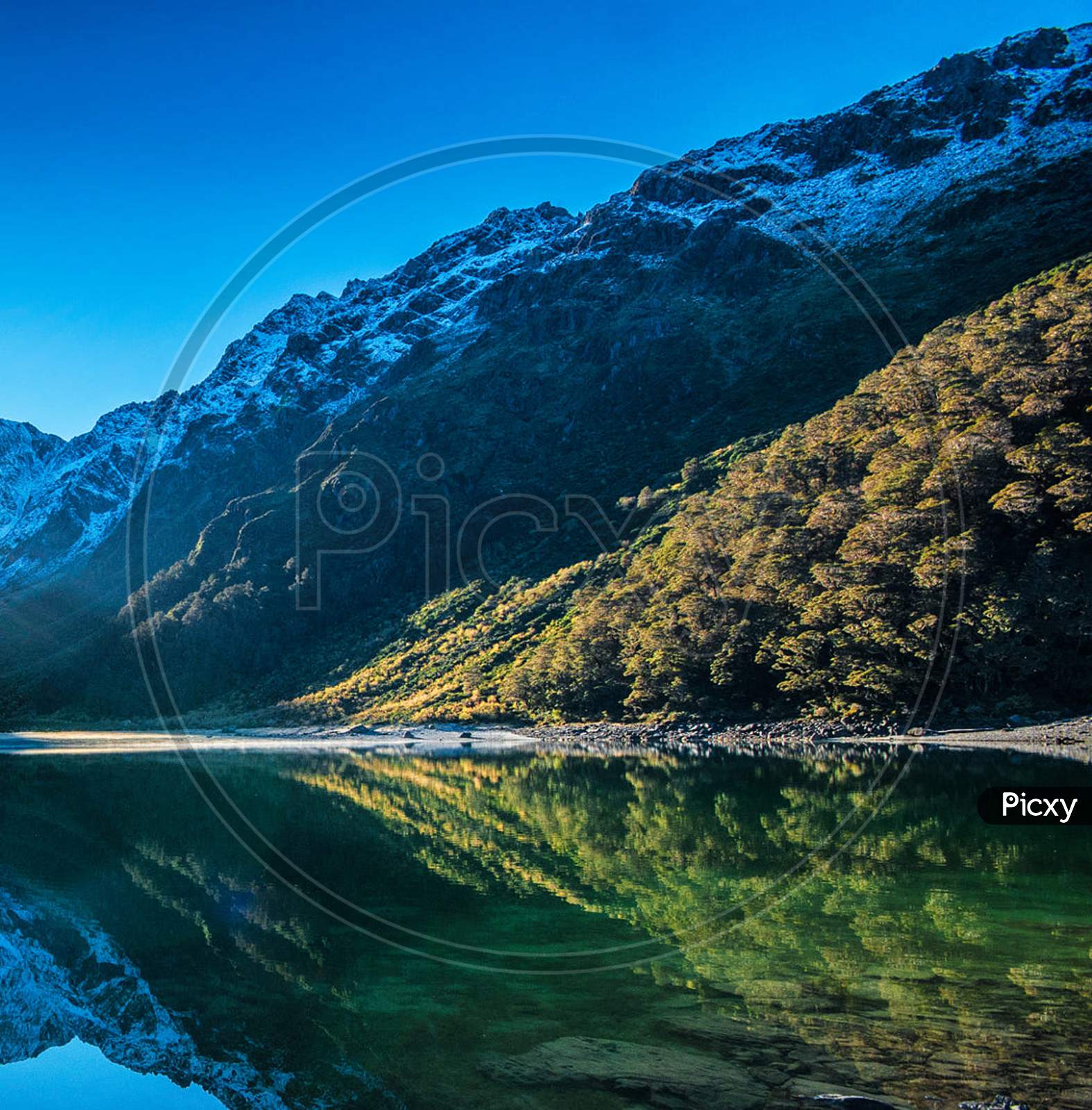 Beautiful pictures of New Zealand