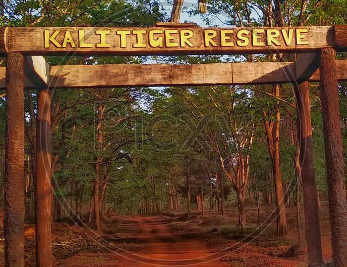 Kali tiger reserve