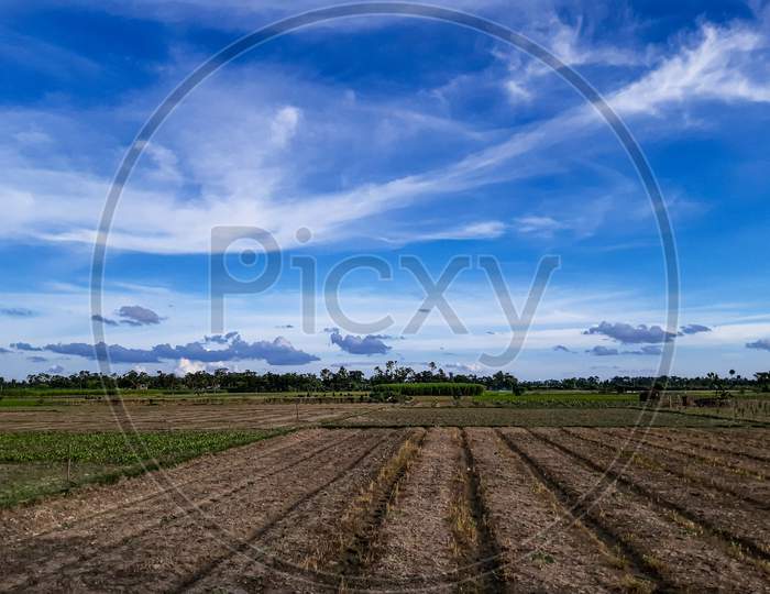 Agricultural Land In Rural India At Sunset. White Clouds In The Blue Sky And A Pair Of Horizon Skies.