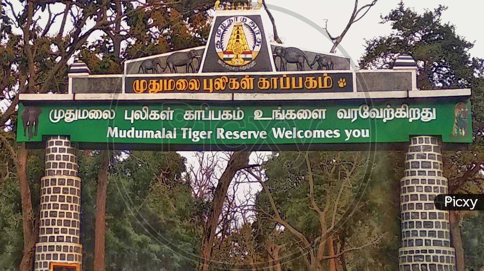 mudumalai tiger reserve