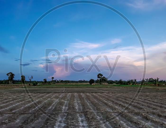 Agricultural Land In Rural India At Sunset. White Clouds In The Blue Sky And A Pair Of Horizon Skies.Agricultural Land In Rural India At Sunset. White Clouds In The Blue Sky And A Pair Of Horizon Skies.