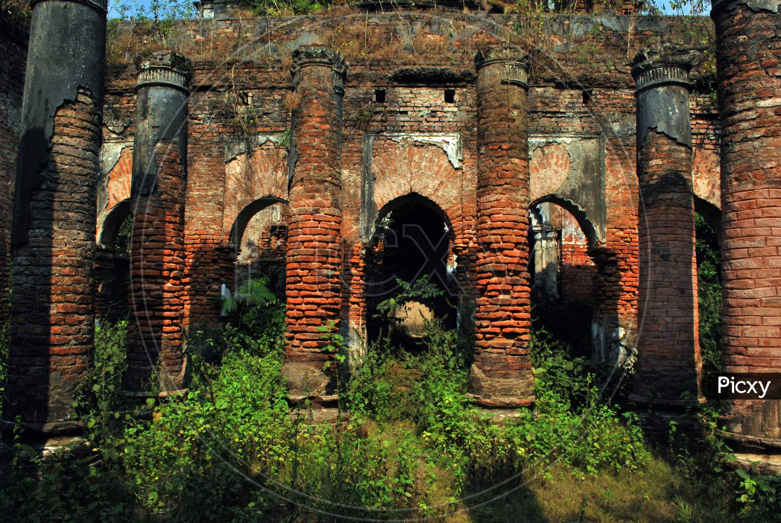 ruined bawali rajbari