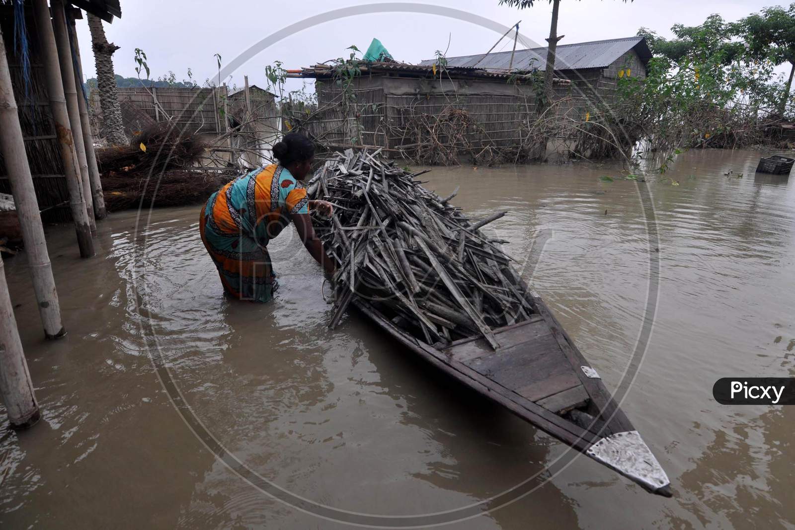 A woman collects firewood in the flood-affected area of Puthimari Village in Darrang, Assam on July 21, 2020