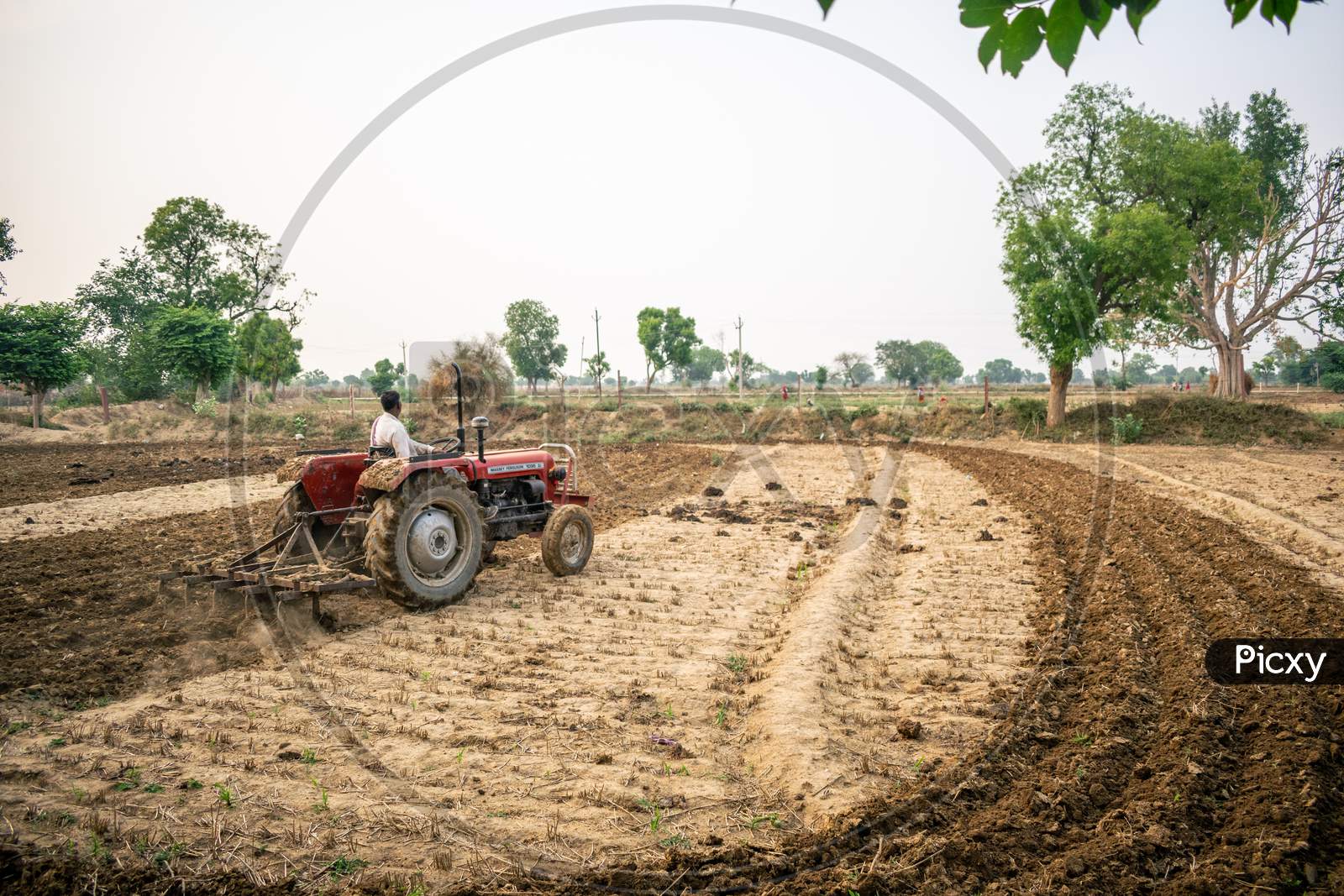 Farmers ploughing their fields using tractor to prepare it for growing kharif crops during monsoon or rainy season in Rajasthan