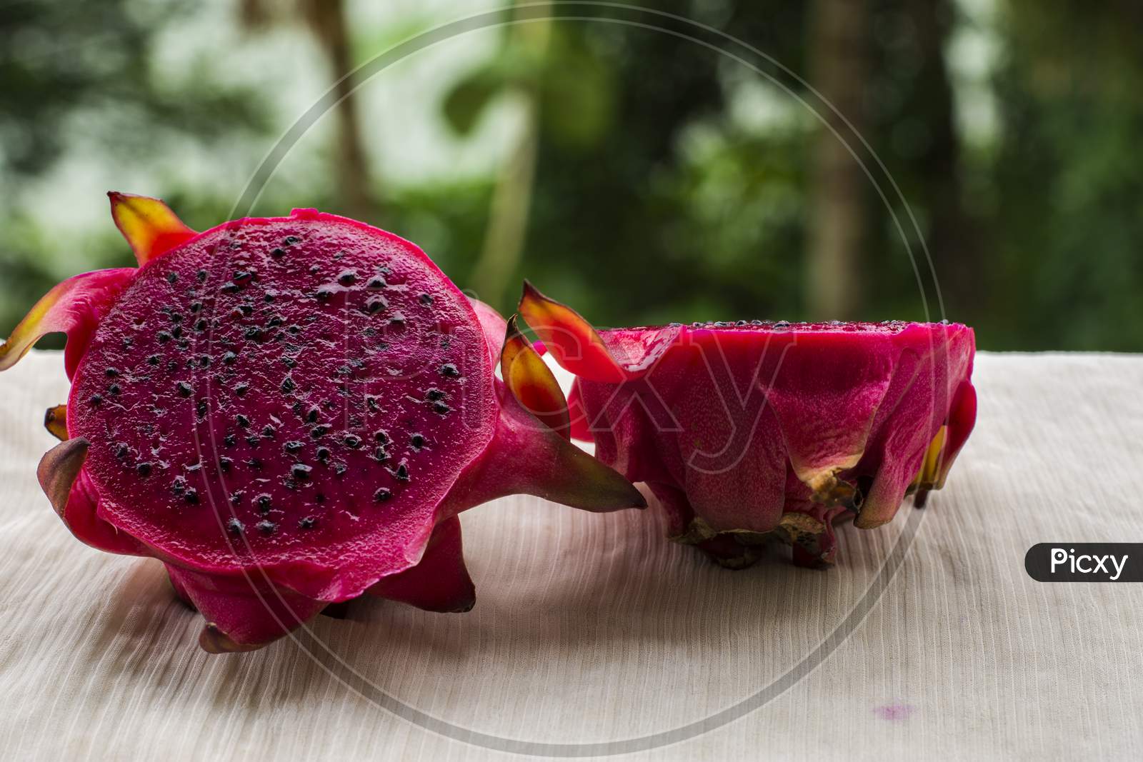 Beautiful Red Dragon Fruit In Natural Background