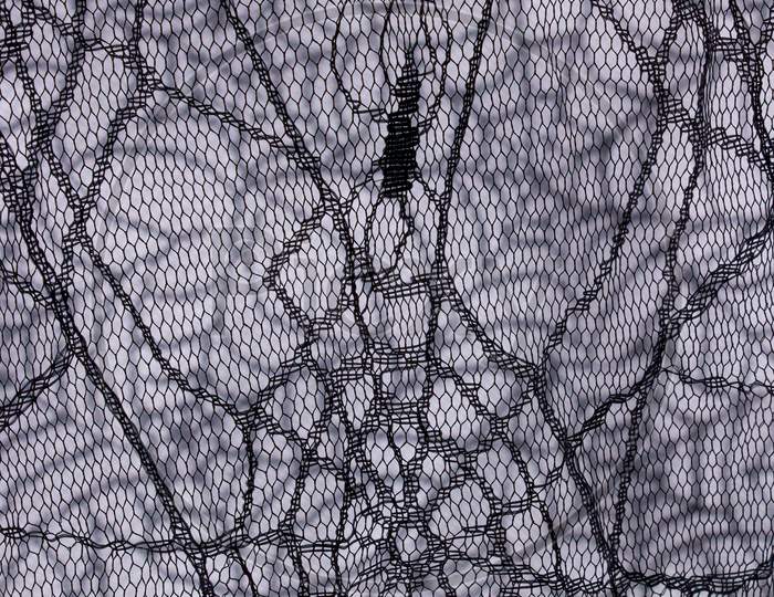 Layers Of Spider Web Netting Halloween Creepy Background