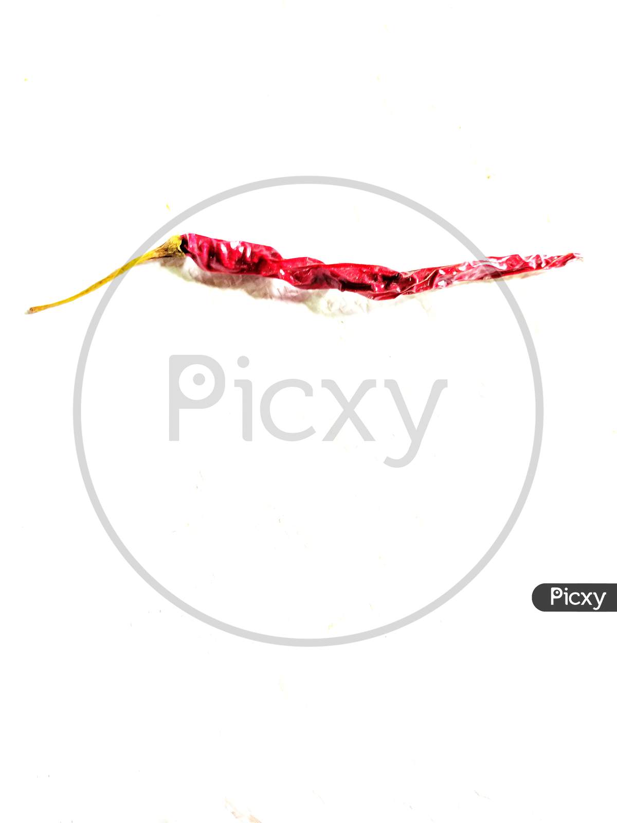 Single Red Chilly,White Background,Shadow
